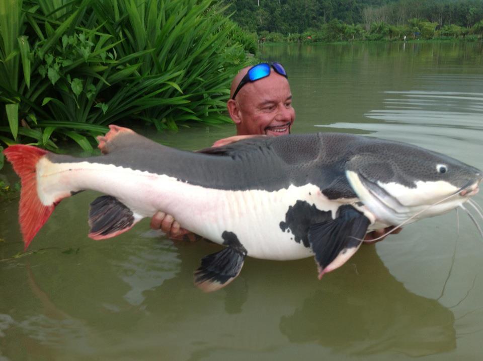 Ardy Veltkamp - 4256043186663982393221140097658n1.jpg